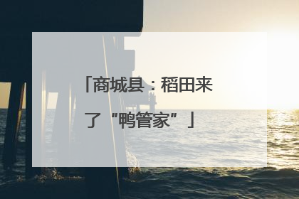 商城县：稻田来了“鸭管家”