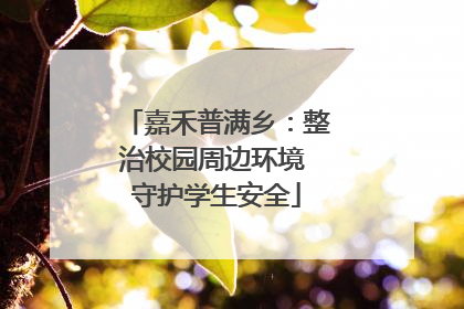 嘉禾普满乡：整治校园周边环境 守护学生安全