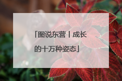 图说东营丨成长的十万种姿态