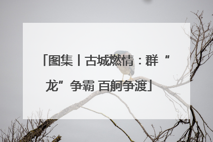 图集丨古城燃情：群“龙”争霸 百舸争渡