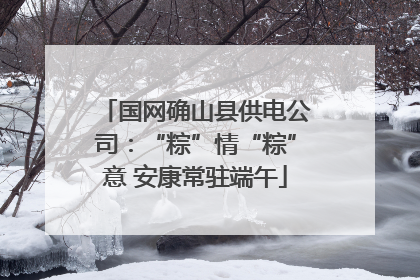 国网确山县供电公司：“粽”情“粽”意 安康常驻端午