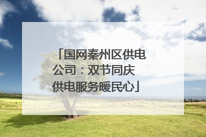 国网秦州区供电公司：双节同庆 供电服务暖民心