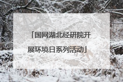 国网湖北经研院开展环境日系列活动