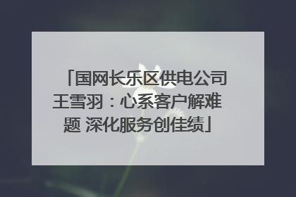 国网长乐区供电公司王雪羽：心系客户解难题 深化服务创佳绩