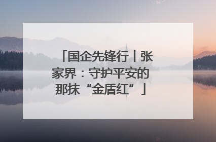 国企先锋行丨张家界：守护平安的那抹“金盾红”