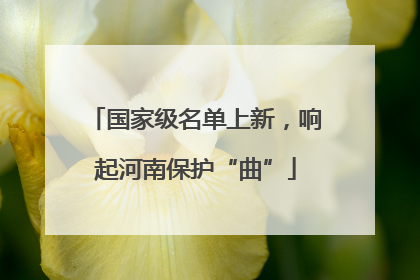 国家级名单上新，响起河南保护“曲”