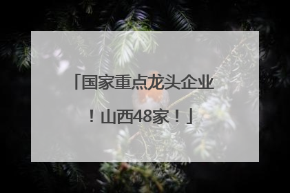 国家重点龙头企业！山西48家！