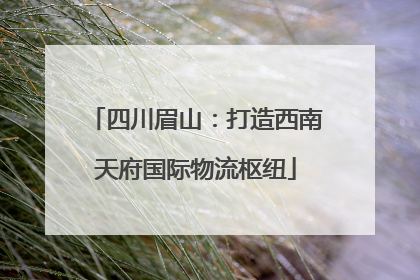 四川眉山：打造西南天府国际物流枢纽