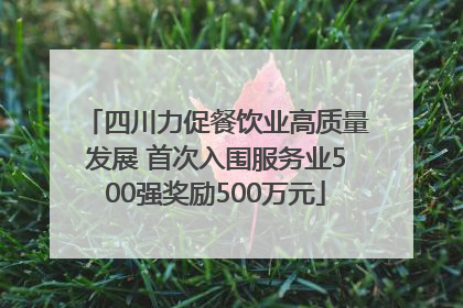 四川力促餐饮业高质量发展 首次入围服务业500强奖励500万元