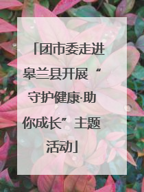 团市委走进皋兰县开展“守护健康·助你成长”主题活动
