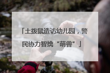 土拨鼠造访幼儿园，警民协力智擒“萌兽”