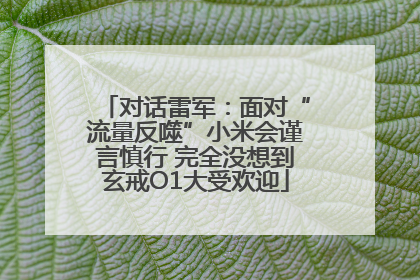 对话雷军：面对“流量反噬”小米会谨言慎行 完全没想到玄戒O1大受欢迎