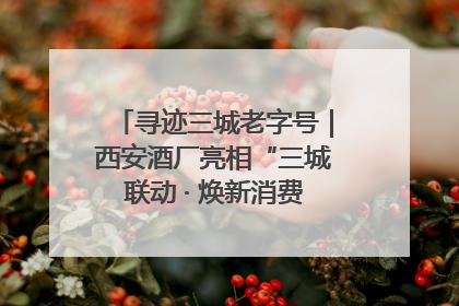 寻迹三城老字号｜西安酒厂亮相“三城联动 · 焕新消费”老字号嘉年华 共话品牌传承与创新