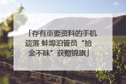 存有重要资料的手机遗落 蚌埠泊管员“拾金不昧”获赠锦旗