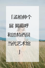 孟柏伸个展 揭幕呼和浩特西贝当代艺术馆