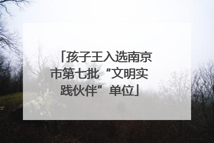 孩子王入选南京市第七批“文明实践伙伴”单位