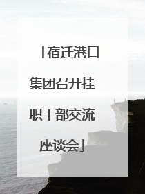 宿迁港口集团召开挂职干部交流座谈会