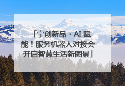 宁创新品・AI 赋能！服务机器人对接会开启智慧生活新图景