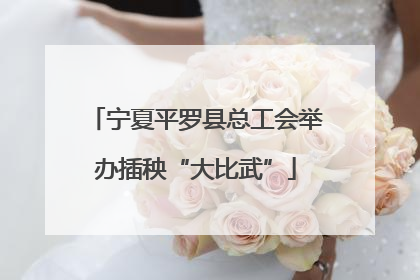 宁夏平罗县总工会举办插秧“大比武”