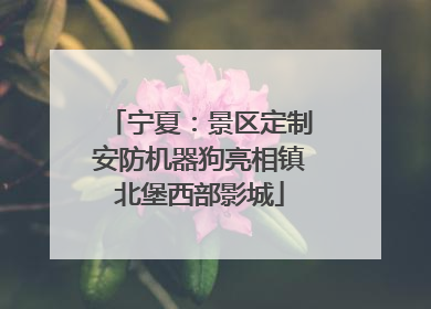 宁夏：景区定制安防机器狗亮相镇北堡西部影城