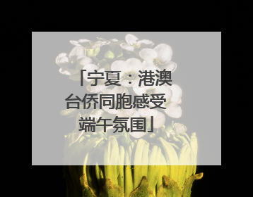 宁夏：港澳台侨同胞感受端午氛围