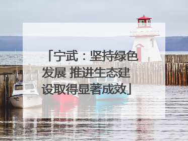 宁武：坚持绿色发展 推进生态建设取得显著成效