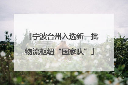 宁波台州入选新一批物流枢纽“国家队”