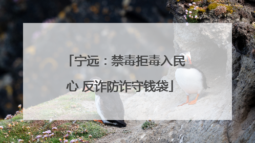 宁远：禁毒拒毒入民心 反诈防诈守钱袋