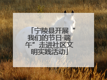 宁陵县开展“我们的节日·端午”走进社区文明实践活动