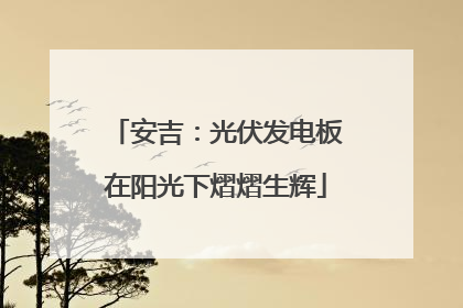 安吉：光伏发电板在阳光下熠熠生辉