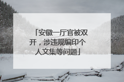 安徽一厅官被双开，涉违规编印个人文集等问题