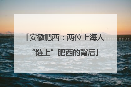 安徽肥西：两位上海人“链上”肥西的背后
