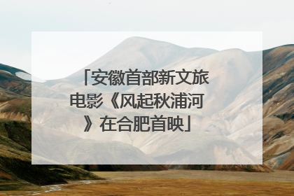 安徽首部新文旅电影《风起秋浦河》在合肥首映