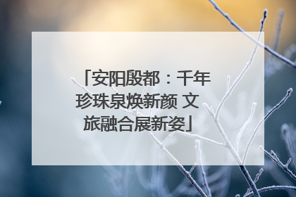 安阳殷都：千年珍珠泉焕新颜 文旅融合展新姿