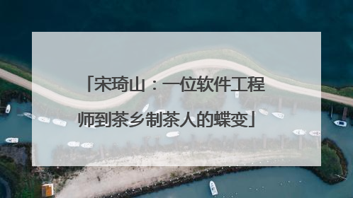 宋琦山：一位软件工程师到茶乡制茶人的蝶变