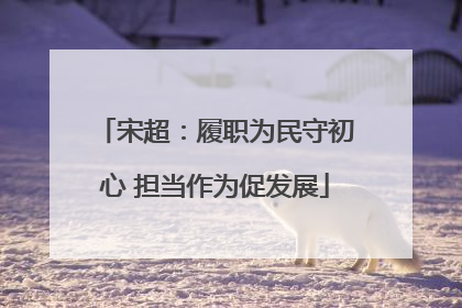 宋超：履职为民守初心 担当作为促发展