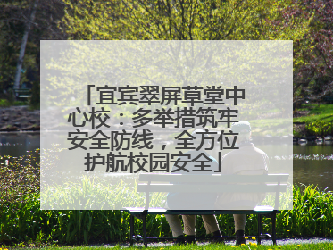 宜宾翠屏草堂中心校：多举措筑牢安全防线，全方位护航校园安全