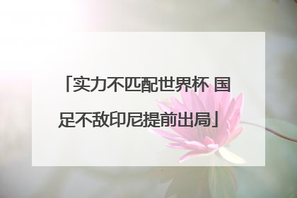 实力不匹配世界杯 国足不敌印尼提前出局