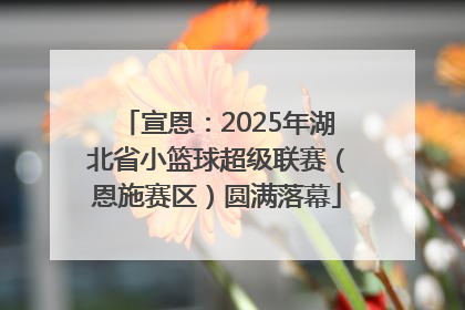 宣恩：2025年湖北省小篮球超级联赛（恩施赛区）圆满落幕