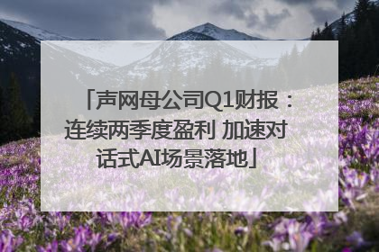 声网母公司Q1财报：连续两季度盈利 加速对话式AI场景落地