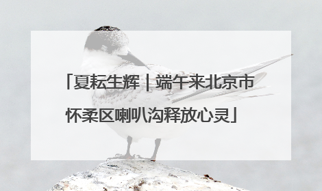 夏耘生辉｜端午来北京市怀柔区喇叭沟释放心灵