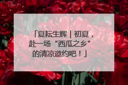 夏耘生辉｜初夏，赴一场“西瓜之乡”的清凉邀约吧！