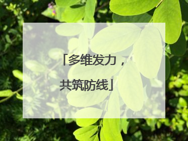 多维发力，共筑防线