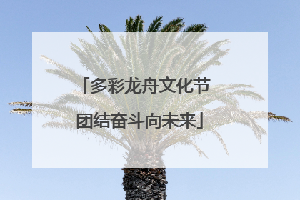 多彩龙舟文化节 团结奋斗向未来
