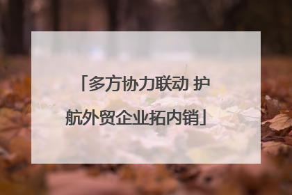 多方协力联动 护航外贸企业拓内销