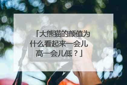 大熊猫的颜值为什么看起来一会儿高一会儿低？