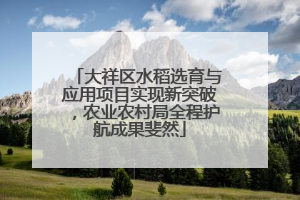 大祥区水稻选育与应用项目实现新突破，农业农村局全程护航成果斐然