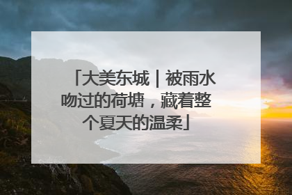 大美东城｜被雨水吻过的荷塘，藏着整个夏天的温柔