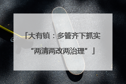 大有镇：多管齐下抓实“两清两改两治理”