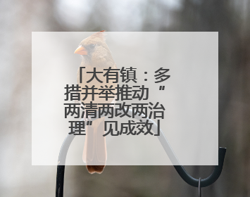 大有镇：多措并举推动“两清两改两治理”见成效